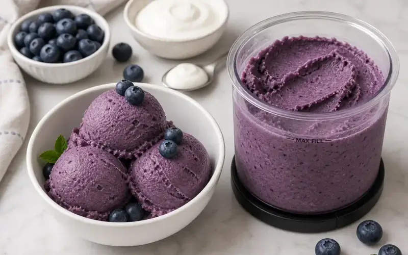 Blueberry frozen yogurt