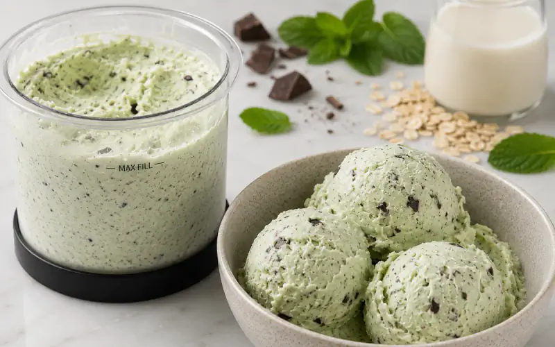 Vegan Mint Chocolate Chip